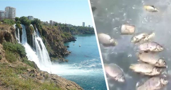 От зловонного водопада в Анталии начала дохнуть рыба